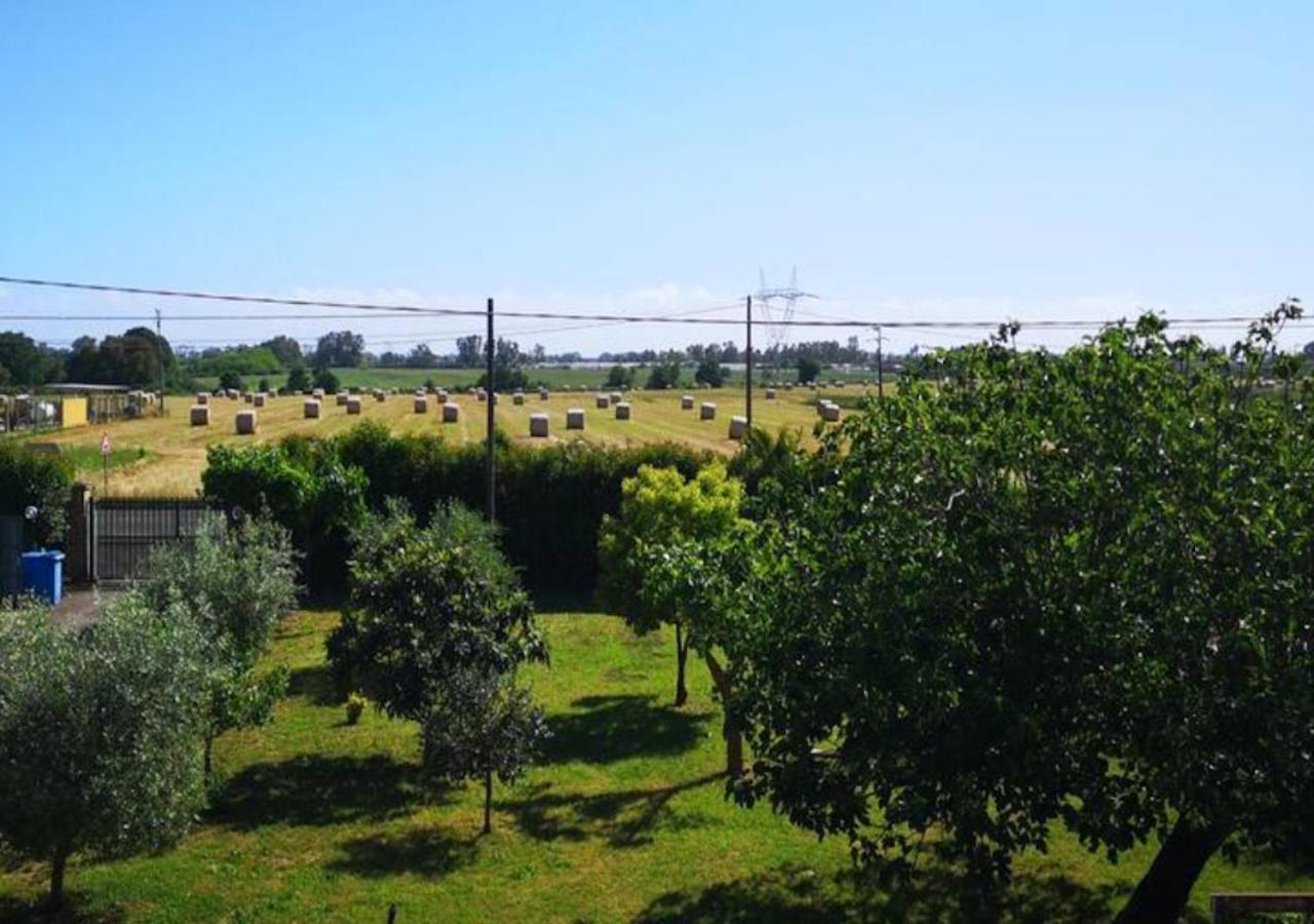 Hostel Eco House San Michele Borgo San Michele  Zewnętrze zdjęcie